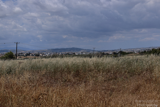 Larnaca_Salt_Lake_Scenery_Larnaca_Cyprus_Nature_Photography_Canon_EOS_R5_Mark_II_2026_016.JPG