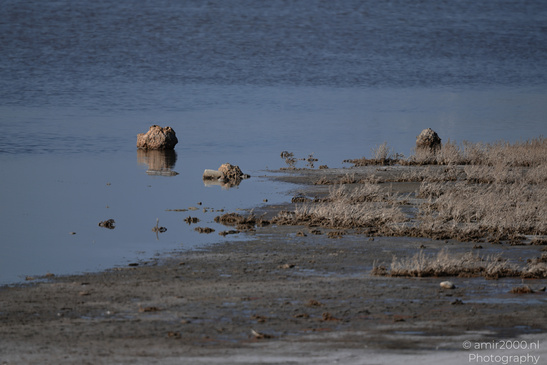 Larnaca_Salt_Lake_Scenery_Larnaca_Cyprus_Nature_Photography_Canon_EOS_R5_Mark_II_2026_018.JPG
