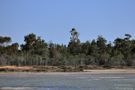Larnaca_Salt_Lake_Scenery_Larnaca_Cyprus_Nature_Photography_Canon_EOS_R5_Mark_II_2026_023.JPG