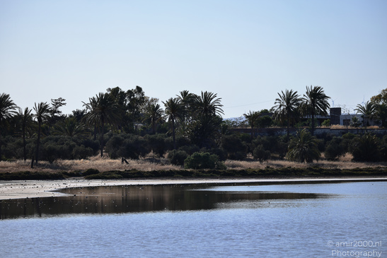 Larnaca_Salt_Lake_Scenery_Larnaca_Cyprus_Nature_Photography_Canon_EOS_R5_Mark_II_2026_024.JPG