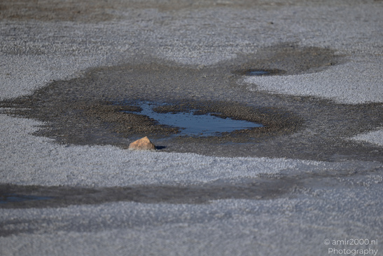 Larnaca_Salt_Lake_Scenery_Larnaca_Cyprus_Nature_Photography_Canon_EOS_R5_Mark_II_2026_025.JPG
