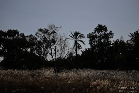 Larnaca_Salt_Lake_Scenery_Larnaca_Cyprus_Nature_Photography_Canon_EOS_R5_Mark_II_2026_026.JPG