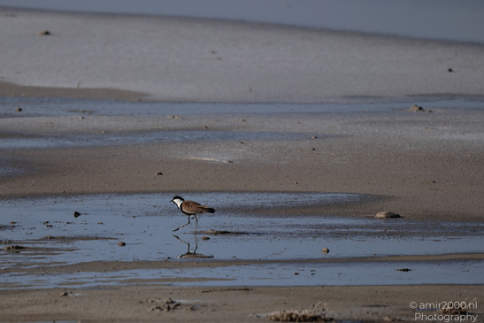 Larnaca_Salt_Lake_Scenery_Larnaca_Cyprus_Nature_Photography_Canon_EOS_R5_Mark_II_2026_028.JPG