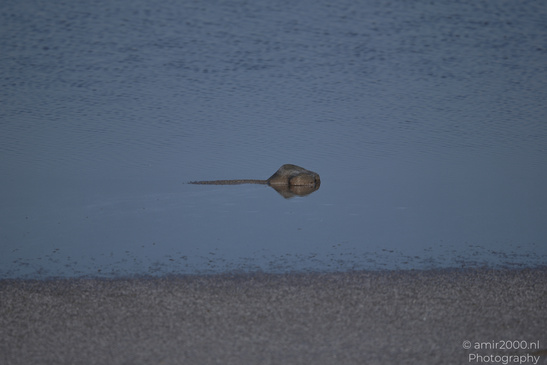 Larnaca_Salt_Lake_Scenery_Larnaca_Cyprus_Nature_Photography_Canon_EOS_R5_Mark_II_2026_030.JPG