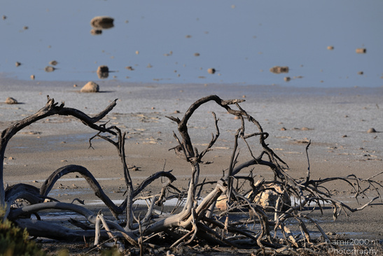 Larnaca_Salt_Lake_Scenery_Larnaca_Cyprus_Nature_Photography_Canon_EOS_R5_Mark_II_2026_031.JPG