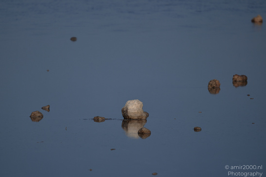 Larnaca_Salt_Lake_Scenery_Larnaca_Cyprus_Nature_Photography_Canon_EOS_R5_Mark_II_2026_032.JPG