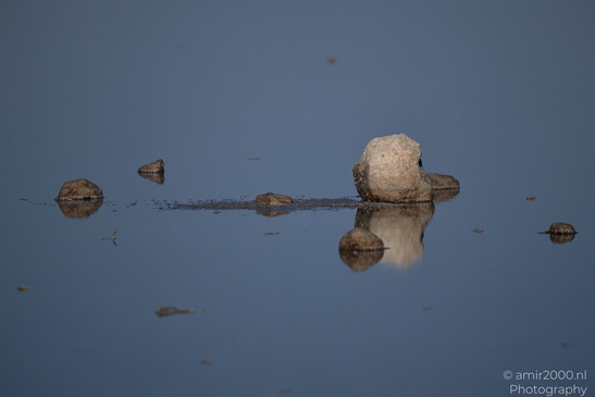 Larnaca_Salt_Lake_Scenery_Larnaca_Cyprus_Nature_Photography_Canon_EOS_R5_Mark_II_2026_034.JPG
