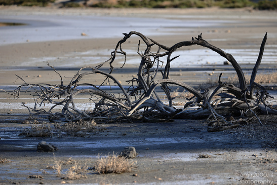 Larnaca_Salt_Lake_Scenery_Larnaca_Cyprus_Nature_Photography_Canon_EOS_R5_Mark_II_2026_035.JPG