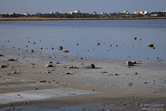Larnaca_Salt_Lake_Scenery_Larnaca_Cyprus_Nature_Photography_Canon_EOS_R5_Mark_II_2026_036.JPG