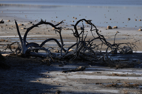 Larnaca_Salt_Lake_Scenery_Larnaca_Cyprus_Nature_Photography_Canon_EOS_R5_Mark_II_2026_037.JPG