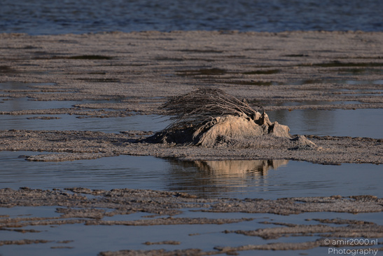 Larnaca_Salt_Lake_Scenery_Larnaca_Cyprus_Nature_Photography_Canon_EOS_R5_Mark_II_2026_046.JPG