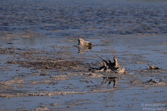 Larnaca_Salt_Lake_Scenery_Larnaca_Cyprus_Nature_Photography_Canon_EOS_R5_Mark_II_2026_047.JPG