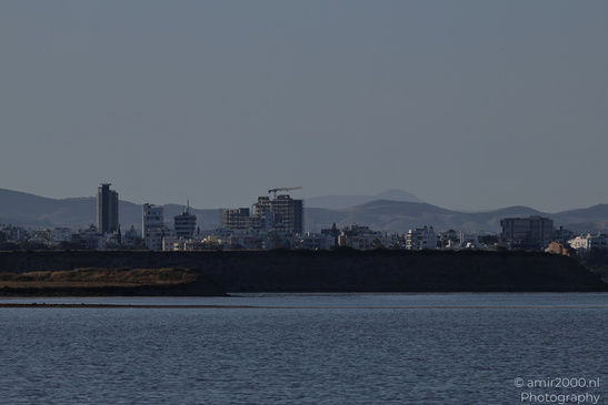 Larnaca_Salt_Lake_Scenery_Larnaca_Cyprus_Nature_Photography_Canon_EOS_R5_Mark_II_2026_049.JPG