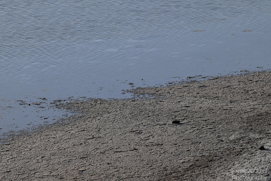 Larnaca_Salt_Lake_Scenery_Larnaca_Cyprus_Nature_Photography_Canon_EOS_R5_Mark_II_2026_051.JPG