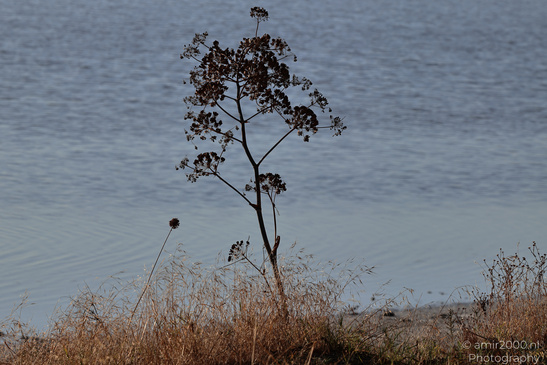 Larnaca_Salt_Lake_Scenery_Larnaca_Cyprus_Nature_Photography_Canon_EOS_R5_Mark_II_2026_052.JPG