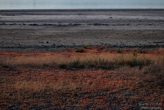 Larnaca_Salt_Lake_Scenery_Larnaca_Cyprus_Nature_Photography_Canon_EOS_R5_Mark_II_2026_053.JPG