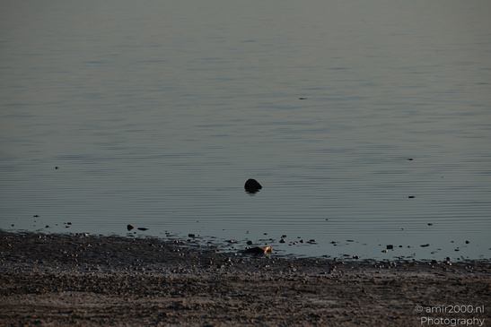 Larnaca_Salt_Lake_Scenery_Larnaca_Cyprus_Nature_Photography_Canon_EOS_R5_Mark_II_2026_056.JPG