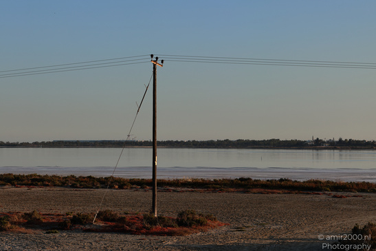Larnaca_Salt_Lake_Scenery_Larnaca_Cyprus_Nature_Photography_Canon_EOS_R5_Mark_II_2026_063.JPG