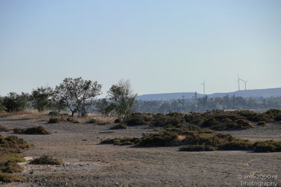 Larnaca_Salt_Lake_Scenery_Larnaca_Cyprus_Nature_Photography_Canon_EOS_R5_Mark_II_2026_067.JPG