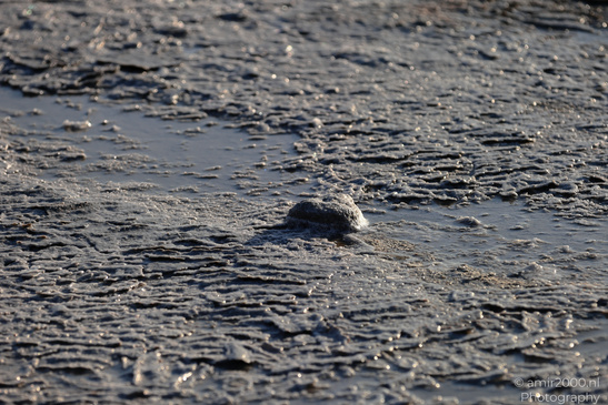 Larnaca_Salt_Lake_Scenery_Larnaca_Cyprus_Nature_Photography_Canon_EOS_R5_Mark_II_2026_072.JPG