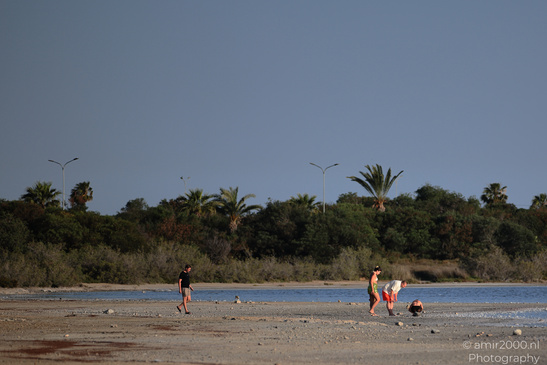 Larnaca_Salt_Lake_Scenery_Larnaca_Cyprus_Nature_Photography_Canon_EOS_R5_Mark_II_2026_076.JPG