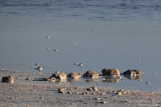 Larnaca_Salt_Lake_Scenery_Larnaca_Cyprus_Nature_Photography_Canon_EOS_R5_Mark_II_2026_077.JPG
