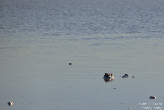 Larnaca_Salt_Lake_Scenery_Larnaca_Cyprus_Nature_Photography_Canon_EOS_R5_Mark_II_2026_078.JPG