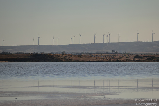 Larnaca_Salt_Lake_Scenery_Larnaca_Cyprus_Nature_Photography_Canon_EOS_R5_Mark_II_2026_081.JPG