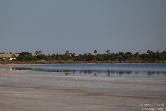 Larnaca_Salt_Lake_Scenery_Larnaca_Cyprus_Nature_Photography_Canon_EOS_R5_Mark_II_2026_082.JPG