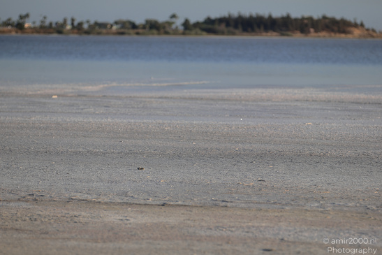 Larnaca_Salt_Lake_Scenery_Larnaca_Cyprus_Nature_Photography_Canon_EOS_R5_Mark_II_2026_084.JPG