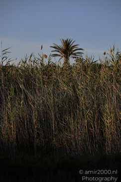 Larnaca_Salt_Lake_Scenery_Larnaca_Cyprus_Nature_Photography_Canon_EOS_R5_Mark_II_2026_092.JPG
