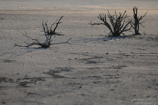 Larnaca_Salt_Lake_Scenery_Larnaca_Cyprus_Nature_Photography_Canon_EOS_R5_Mark_II_2026_093.JPG