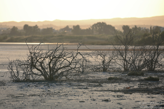 Larnaca_Salt_Lake_Scenery_Larnaca_Cyprus_Nature_Photography_Canon_EOS_R5_Mark_II_2026_094.JPG