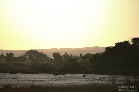 Larnaca_Salt_Lake_Scenery_Larnaca_Cyprus_Nature_Photography_Canon_EOS_R5_Mark_II_2026_098.JPG