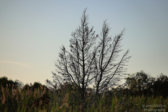 Larnaca_Salt_Lake_Scenery_Larnaca_Cyprus_Nature_Photography_Canon_EOS_R5_Mark_II_2026_100.JPG