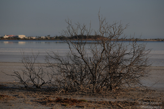 Larnaca_Salt_Lake_Scenery_Larnaca_Cyprus_Nature_Photography_Canon_EOS_R5_Mark_II_2026_101.JPG