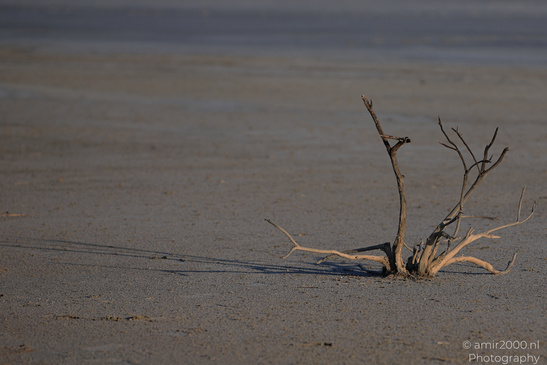 Larnaca_Salt_Lake_Scenery_Larnaca_Cyprus_Nature_Photography_Canon_EOS_R5_Mark_II_2026_103.JPG