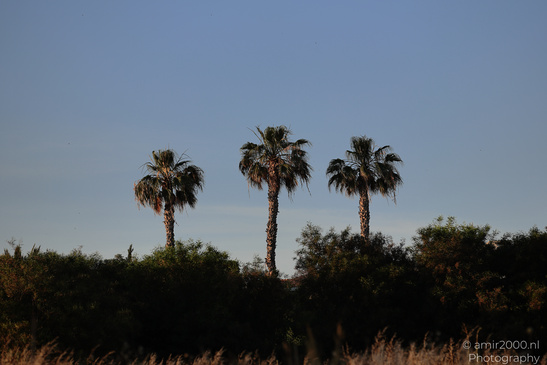 Larnaca_Salt_Lake_Scenery_Larnaca_Cyprus_Nature_Photography_Canon_EOS_R5_Mark_II_2026_104.JPG
