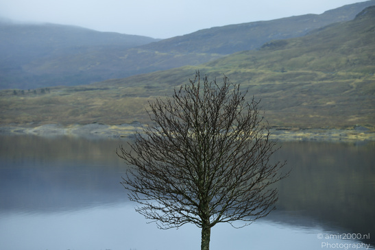Loch_Cluanie_Reflections_In_The_Scottish_Highlands_Scotland_United_Kingdom_Nature_Photography_Canon_EOS_R5_Mark_II_2026_053.JPG
