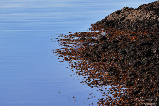 Loch_Nan_Uamh_In_The_Scottish_Highlands_Scotland_United_Kingdom_Nature_Photography_Canon_EOS_R5_Mark_II_2026_026.JPG