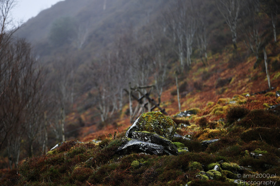 Misty_Eas_Nan_Arm_Bridge_Kyle_In_The_Scottish_Highlands_Scotland_United_Kingdom_Nature_Photography_Canon_EOS_R5_Mark_II_2026_008.JPG
