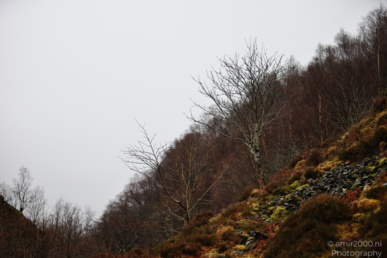 Misty_Eas_Nan_Arm_Bridge_Kyle_In_The_Scottish_Highlands_Scotland_United_Kingdom_Nature_Photography_Canon_EOS_R5_Mark_II_2026_012.JPG