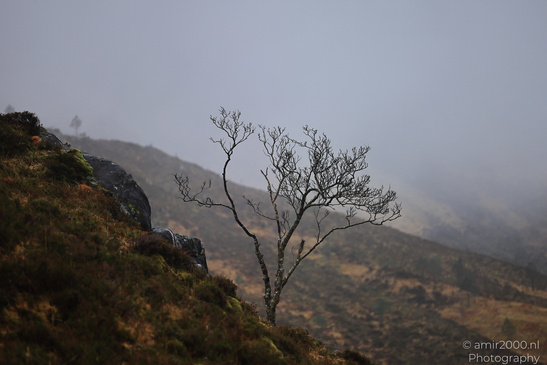 Misty_Eas_Nan_Arm_Bridge_Kyle_In_The_Scottish_Highlands_Scotland_United_Kingdom_Nature_Photography_Canon_EOS_R5_Mark_II_2026_017.JPG