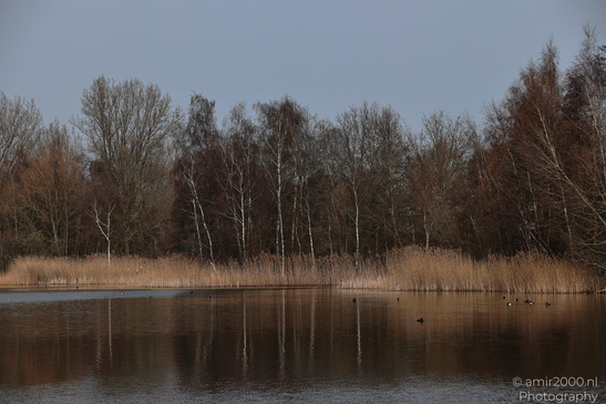 Naarderbos_Scenery_And_Reflections_Naarden_Netherlands_Nature_Photography_Canon_EOS_R5_Mark_II_2026_001.JPG