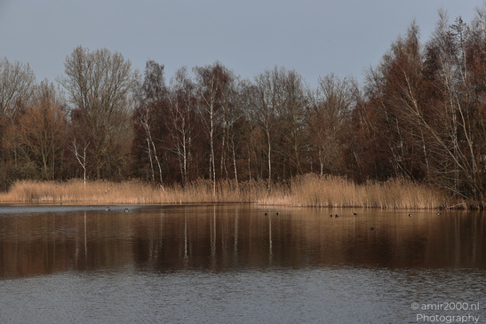 Naarderbos_Scenery_And_Reflections_Naarden_Netherlands_Nature_Photography_Canon_EOS_R5_Mark_II_2026_005.JPG
