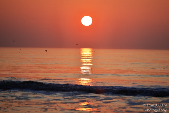 Image sun with birds, water, sky, sunset and reflections. - image from year 2026 #004