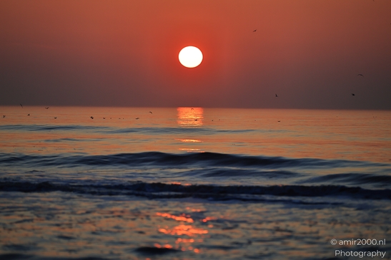A sunset over the North Sea with a glowing sun and silhouetted birds. - image from year 2026 #006