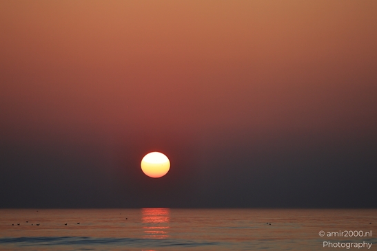 A sunset over the North Sea with a partially visible moon and a glowing sun. - image from year 2026 #011
