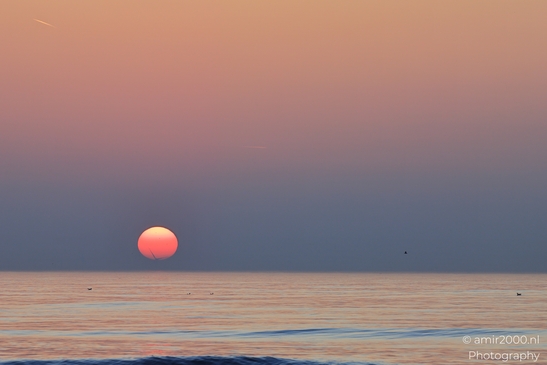 Image sunset with sky, water, bird, airplane and horizon. - image from year 2026 #016
