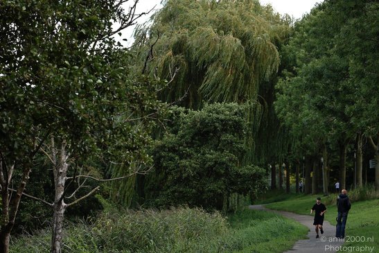 People park with a person jogging on a path lined with lush greenery and trees in Amsterdam, - image from year 2026 #001